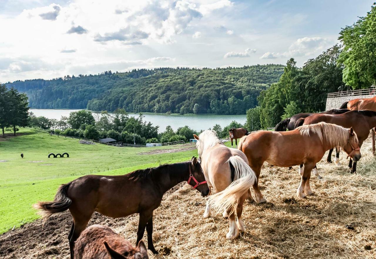 Lesniczowka Wiezyca I Domki Szymbark  Bagian luar foto